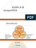 Capitulo 5.pre. MA 2021 Carbohidratos