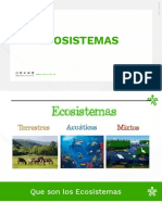 Tipos de Ecosistemas