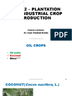 Coconut Lecture Presentation