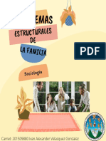 Problemas Estructurales de La Familia Sociologia