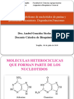 T 29 Metabolismo de Purinas y Pirimidinas