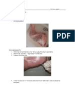 Practica 6 Diseccion Hueso Musculo