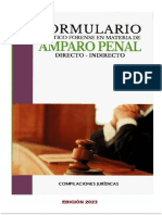 Manual para Demanda de Amparo.3