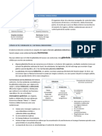 13 - Endocrino Intro Resumen - Leer Este Primero