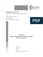 TAREA 2 Caracterización y Organización de La Pequeña