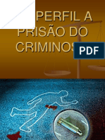 Curso de Psicologia Criminal Vera 2