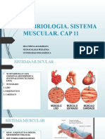 Laboratorio Embrio 2. Sd. Prune Belly