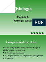 Contenido Sobre Introduccion A La Fisiologia