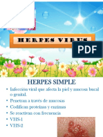 Herpes Virus