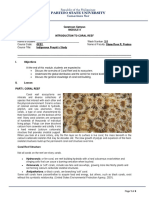 2 MODULE MB9-Coral Reef