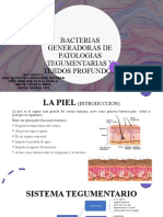 Bacterias Generadoras de Patologias Tegumentarias y Tejidos Profundos