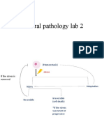 General Patho Lab2 2