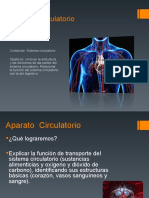 Aplicacion de Cuidados Basicos. Necesidades Humanasclase Sistema Circulatorio