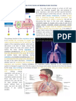 Parts and Functions of Respiratory System - Notes