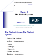 Skeletal System