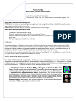 Apunte 2 Clase 2 Neuroanatomia y Circuitos 2023