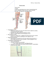 Varicose Veins