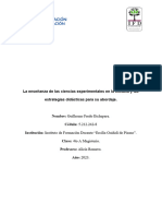 Trabajo Final en Proceso (Guillermo Fredo 4°A Magisterio)