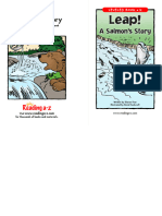 K Leap A Salmon Story