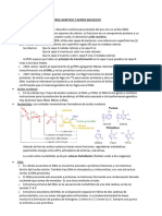 1 - Material Genetico y Acidos Nucleicos