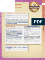 Ross Histología Texto y Atlas. Correlación Con Biología Molecular y Celular 7 Edición