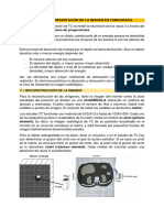 PUNTO 7 Radio Fundamentos 1 Año