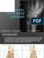 Fracturas Del Escafoides Carpiano