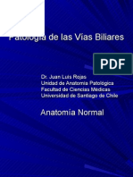 Patología de Las Vías Biliares