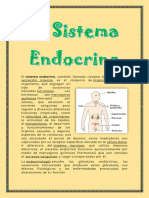 El Sistema Endocrino