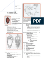 Parasitology-Lec 6 Liver Flukes (Kat)