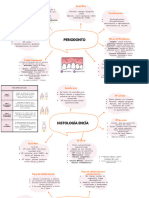 PERIODONCIA