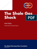 Shale Gas Materials