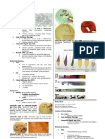 Microbio Lab 8