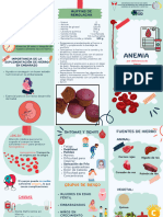 Triptico de Anemia - H. Del Sud - Micaela Vallejos