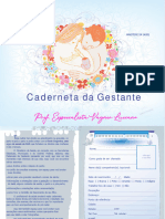 6 - Caderneta Da Gestante, Cálculos de SM