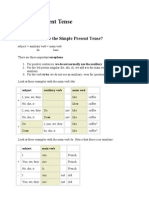 Simple Present Tense