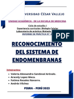 Semana 06 - Informe Biología. 