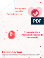 Primeras Semanas Del Desarrollo Embrionario