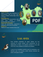 Semana N 29 - Las Aves