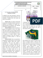 1º Ano - Direitos Sociais, Civis e Políticos