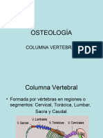 Columna Vertebral