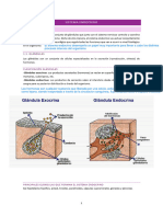 Sistema Endocrino Primera Parte