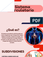 Sistema Circulatorio - 20231006 - 204539 - 0000