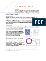 Transport in Plants Handout