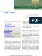 Renal Diseases