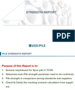 Vgsi PL Te Report 200420 Pile Strength