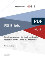 Fsibriefs 5