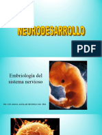 Neuro Des Arrollo