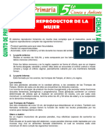 Sistema Reproductor de La Mujer para Quinto de Primaria