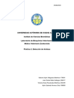 Practica 2 Reacción Cualitativa de La Amilasa Salival e Hidrólisis de Almidón, Prueba de Azucares Reductores